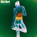 The Bush - The Kingdom (LP) Coloured Vinyl