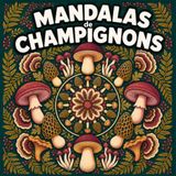 Mandalas de Champignons: Plus de 40 motifs à colorier pour adultes, femmes et adolescents
