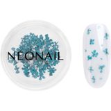 NeoNail Dried Flowers