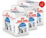 Royal Canin Sterilised Indoor in Jelly - 36 x 85 g