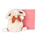 Doudou et Compagnie Knuffeldier konijn snoep terracotta 25 cm