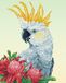 Diamond Dotz White Cockatoo & Waratahs Diamond Painting Kit