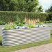 Maison Exclusive - Rehausseur de jardin, 320x80x81 cm, acier galvanisé, couleur argent