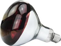 Philips Eider Lampe chauffante 250W