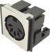 Cliff FM6725 DIN-connector Bus, inbouw horizontaal Aantal polen: 5 Zwart 1 stuk(s)