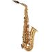 Yamaha YAS62 Professional Alto Saxophone Gold Lacquer