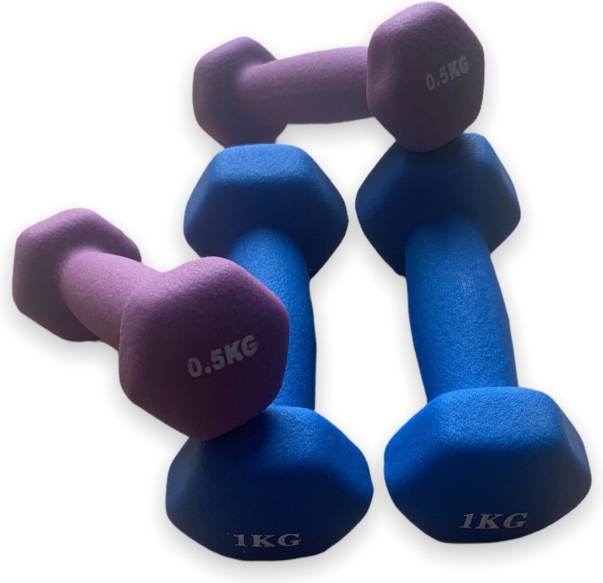 Padisport Dumbbell Set - 0.5 & 1 kg - Fitness - Weight - Set - 2x0.5kg, 2x1kg - Blue/Purple