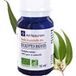 Ad Naturam Eucalyptus Rad He 10ml