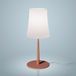 Foscarini Birdie Easy Lampe de table