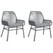 VidaXL Tuinstoelen 2 st met kussens poly rattan grijs