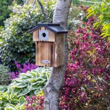C J Wildlife CJ Wildbird Foods Europe Protector Nestkast Galveston 32 mm