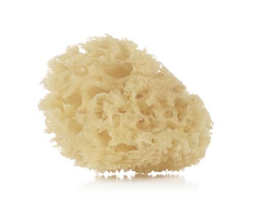 Jané natuurspons - 2 stuks - zacht - voor pasgeboren baby's