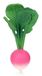 Oli&Carol Ramona the Radish bijtring - Groen, Roze