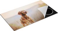 Chefcare Inductie Beschermer Hongaarse Vizsla Hond in het Gras - 95x55 cm - Multicolor