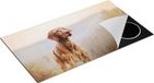 Chefcare Inductie Beschermer Hongaarse Vizsla Hond in het Gras - 95x55 cm - Multicolor