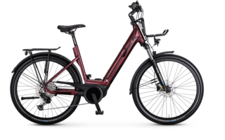 Kreidler Vitality Eco 10 Cross - E-bike - 2021 - rot matt - 45 cm