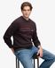Superdry Herren Outdoor Stripe Logo Sweatshirt Lockere Passform Braun - Größe: Xxxl