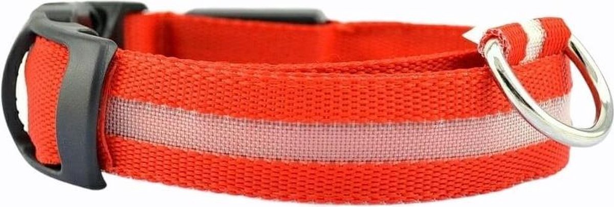 Dutchwide Halsband LED Maat S 34 - 41 cm USB Oplaadbaar Hondenhalsband Puppy Riem - Rood Waterbestendig Hond Dog Kat Kitten Cat - Dutchwide®