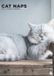 CalendarsRUs Cat Naps A3 Wall Calendar 2027
