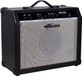 Finesse Basgitaarversterker PRO 15W Compact Kast Gitaarversterker 30W Nederlands