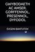 GWYBODAETH AC AMSER. GORFFENNOL, PRESENNOL, DYFODOL: 1