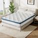 Tribesigns Matelas 160x200 cm, 22 cm haut, matelas à ressorts ensachés 7 zones (H3 medium-ferme), matelas orthopédique avec housse respirante en Lyocell