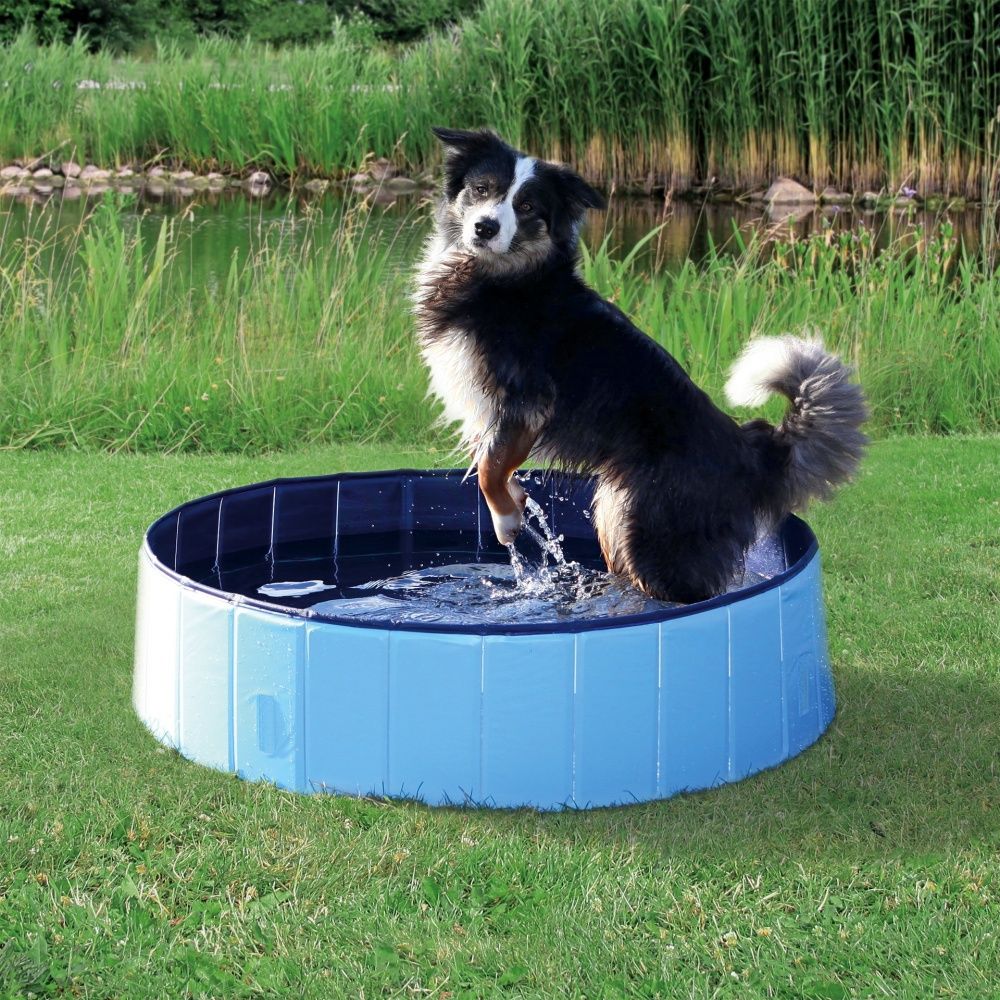 Trixie Dog Pool Hondenzwembad - Ø 120 x 30 cm - kunststof - rond