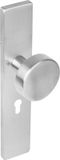 Intersteel Knop op rechthoekig schild profielcilindergat 55 mm rvs geborsteld