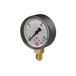 RIEGLER 101775-102 standaard manometer, plaatstaal, G 1/4 onder, 0-1,6 bar, Ø 50, 1 st.