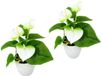 Kunstplant Shenzhen Haorui Industrial Technology Co., Ltd. Kunstplant mini anthurium plant in pot, set van 2