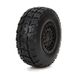 ECX ECX41001 banden, meerkleurig