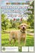 Dog Detective Reports Labrador Retriever The Friendly Family Helper Report