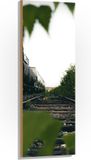 Merkloos / Sans marque Foto op Hout - Begroeiing over het Spoor - 40x120 cm - 9 mm dik - Landelijk - Voor binnen