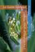 La Photo Macro de Fleurs de A à Z: Le Guide Complet
