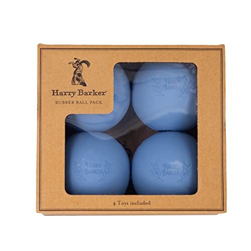 Harry Barker Harry Barker Set van 4 rubberen ballen - groot