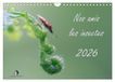 Nos Calvendo Nos amis les insectes (Calendrier mural 2027 DIN A4 vertical), CALVENDO calendrier mensuel