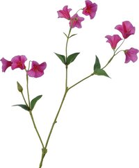Viv! Home Luxuries Campanula - Zijden bloem - Roze - 77cm