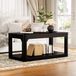 OKWISH Table basse – 100 x 50 x 44,5 cm – Noir – MDF – 2 compartiments de rangement ouverts