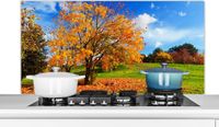 KitchenYeah Spatscherm keuken 120x60 cm - Kookplaat achterwand Boom - Bladeren - Herfst - Seizoenen - Muurbeschermer - Spatwand fornuis - Hoogwaardig aluminium