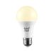 Levitantes Verlichting, Afbeelding