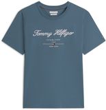 Tommy Hilfiger Heren T-shirt XL Katoen Korte Mouw Blauw