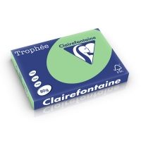 Clairefontaine Gekleurd Papier Natuurgroen 80 grams A3 (500 vel)