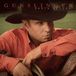 Bertus Distributie Sony Music Garth Brooks Gunslinger