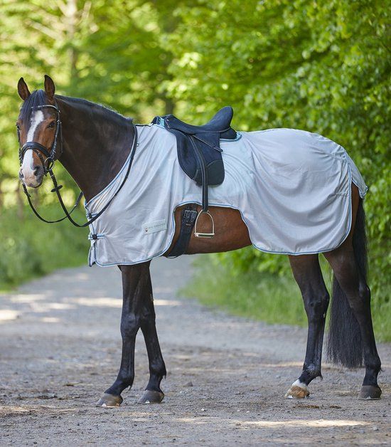 PROTECT Fly Exercise Sheet - Silver-grey/grey - Horse - Sweat Blanket