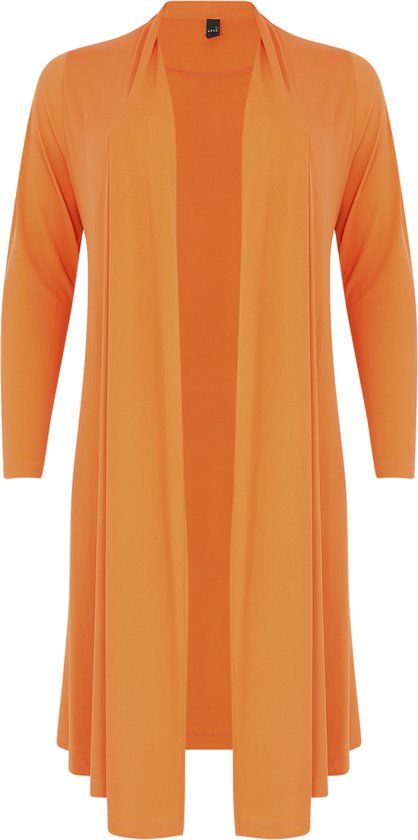 YOEK Dames Vest met lange mouwen
