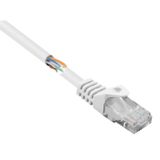 Renkforce RF-5043834 Câble réseau RJ45, câble de raccordement CAT 5e U/UTP 0,25 m Blanc Sans accroc 1 pièce(s)