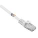 Renkforce RF-5043834 Câble réseau RJ45, câble de raccordement CAT 5e U/UTP 0,25 m Blanc Sans accroc 1 pièce(s)