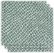 Jollein Hydrofiel Monddoekjes Snake - Ash Green - 3 Stuks