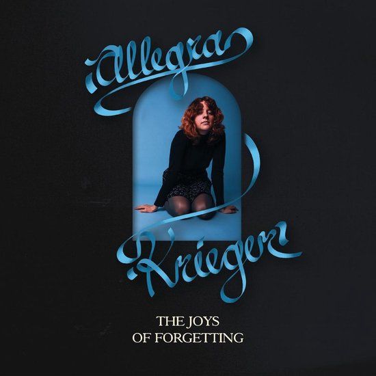 Joys Allegra Krieger The Joys Of Forgetting