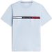 Tommy Hilfiger Heren T-shirt Katoen Ronde Hals Korte Mouw XXL